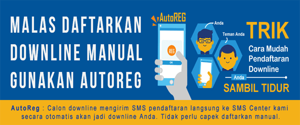 autoreg downline pulsa otomatis